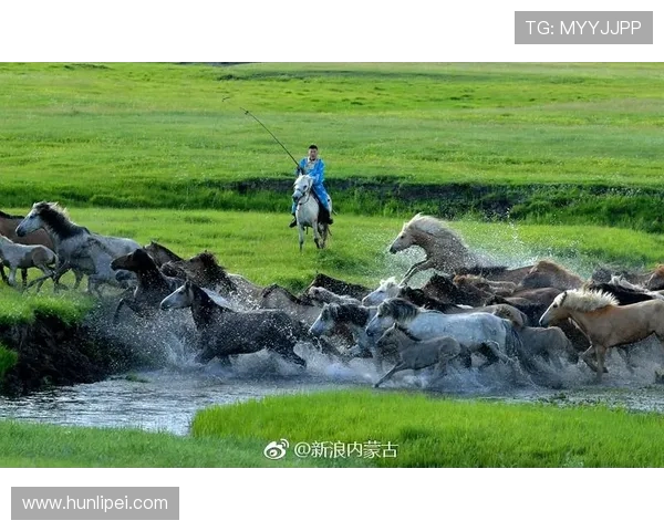 马背天骄：锡林郭勒草原驯马人的传奇与传承(1)